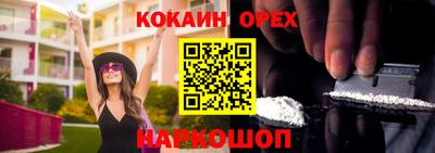 крисы Коммунар