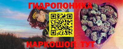 крисы Коммунар