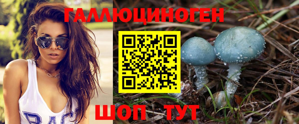 Галлюциногенные грибы MAGIC MUSHROOMS  Вход с VPN  Арзамас  Галлюциногенные грибы прущие грибы 